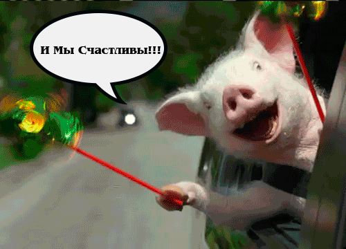 svinyasbezhalaizgorodskihkvartir2_yapfiles.ru_.gif